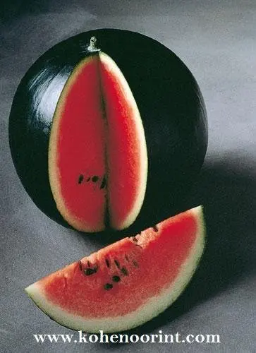 [Obrazek: Watermelon-Seeds-Hybrid.jpg]