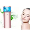 Personal Face Mister Mist Humidifier Nano Technology Skin Care Nano Mist Sprayer