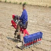 Rice paddy planting seed equipment for sale in Malaysia/Thailand/Indonesia/India