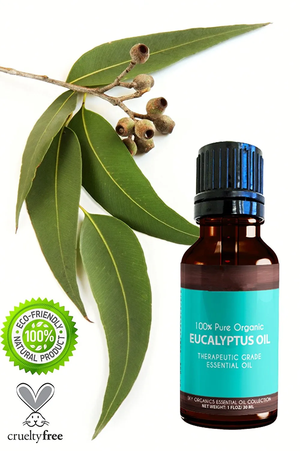 Best Price Wholesale Top Quality 100 Pure Organic Eucalyptus Essential