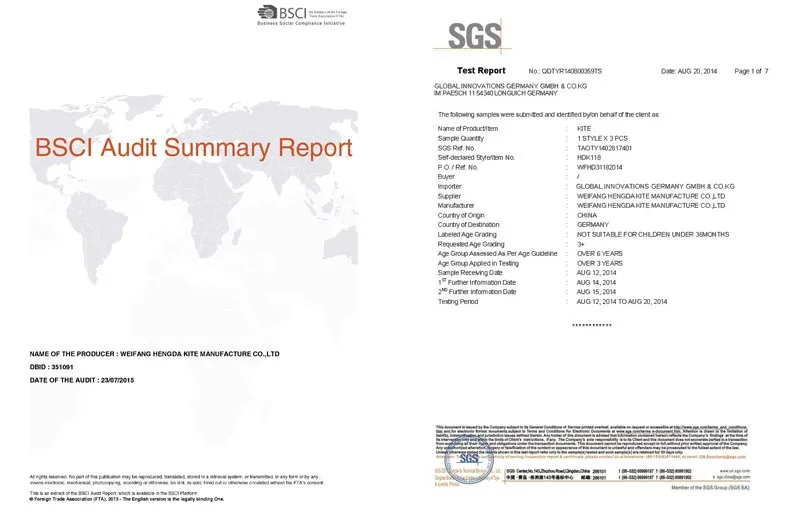 Hengda New Easy Flying Butterfly Kite For Sale Buy Animal Kite,Kite