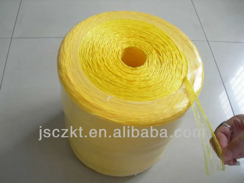 DSCN4499.JPG