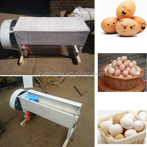 Automatic Egg Washer Egg Salted Duck Egg Goose Egg Cleaning