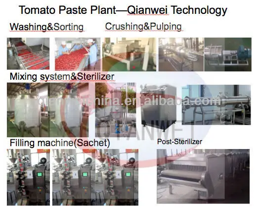 small plant tomato process