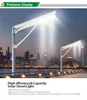 High quality reasonable price custom design integrated solar led street light