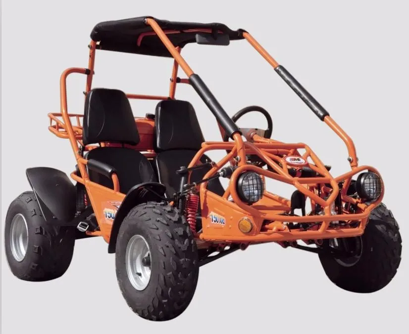 Powerful 300cc Gokart 2 Seat Cheap Price Adult Pedal Go Kart For Sale