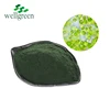 Produce and Provide Pure Natural Algae Animal Feed / Green Algae for Animal Feed