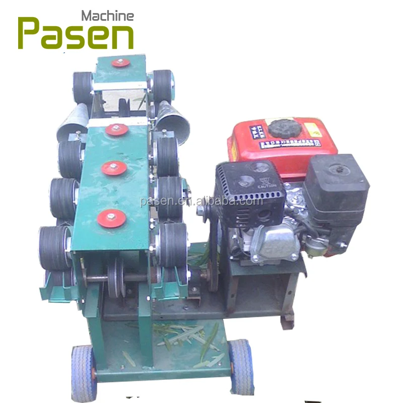 Essence Roseau Machine À Peler/Frais Osier Peeling Machine/Osier Peeler