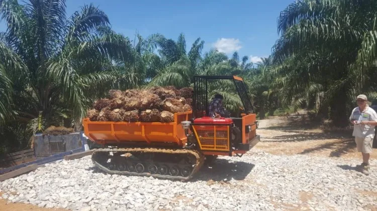 Palm Fruit crawler transporter mini dump truck dumper for Malaysia