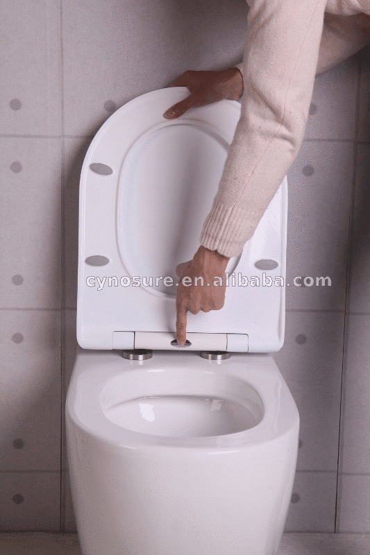 Ceramic Chinese Wc Toilet Seat With 10 Yrs Warranty Buy Chinese Wc