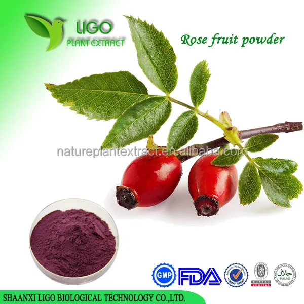 skin care plant extract 100% pure rose hips berry extract powder