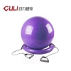 Eco-friendly Anti-burst Gym pilates Equipment Yoga Ball Exercise ball with Base&Expander