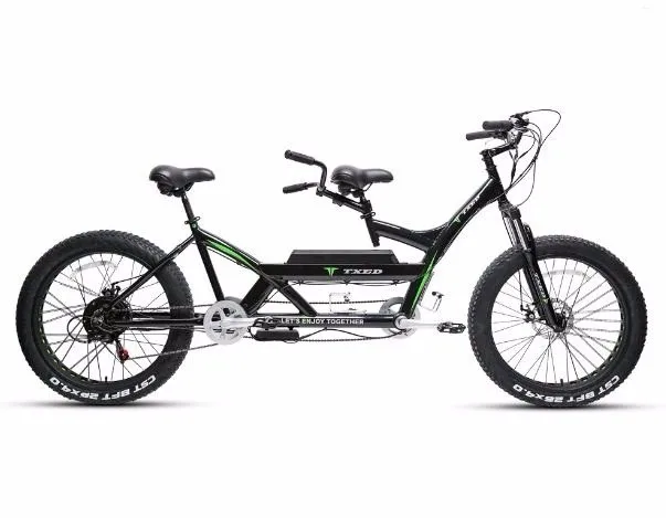 two person electric bicycle