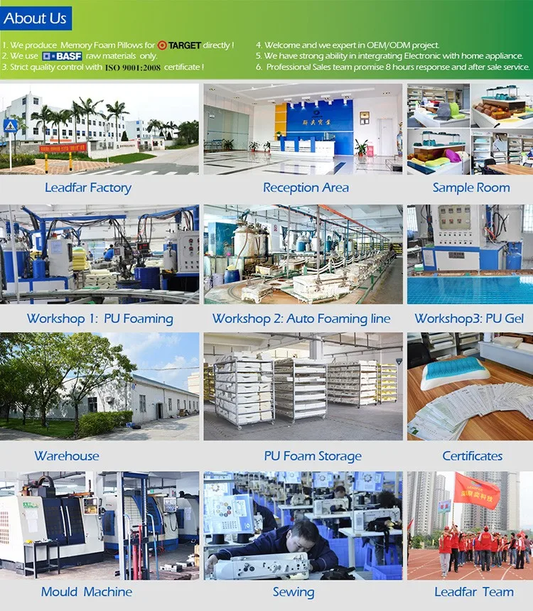 leadfar company pillow 750