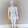 Hot sell model 50cm model of male and 48cm model of woman, human body acupuncture model, acupuncture pvc model
