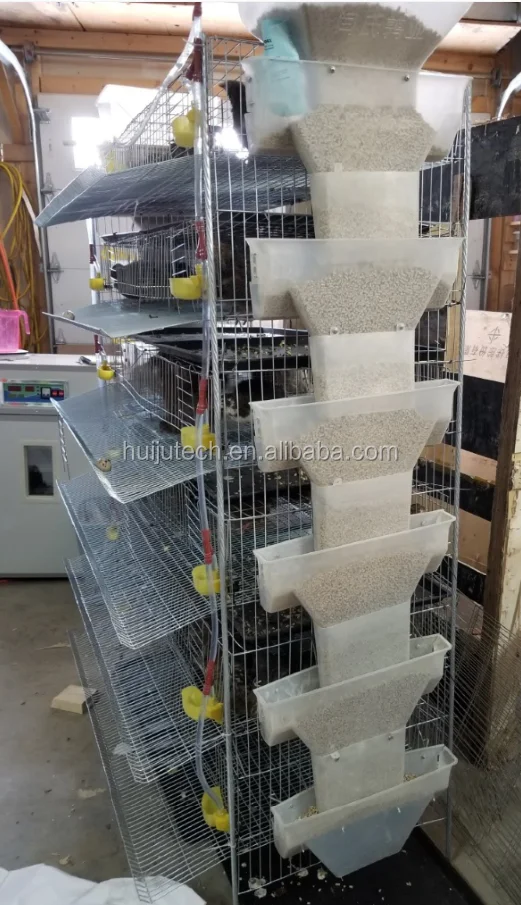 Factory High Quality Quail Cage For Sale Buy Quail