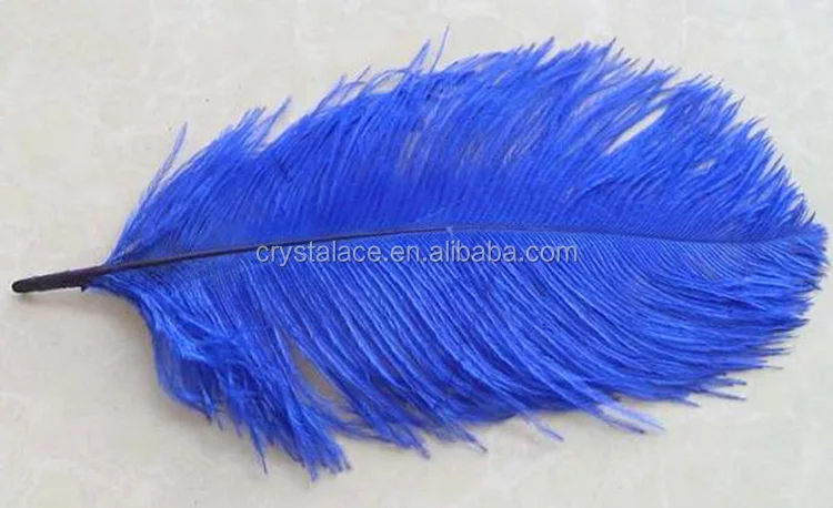 65-70cm white ostrich feather,Pluma de avestruz