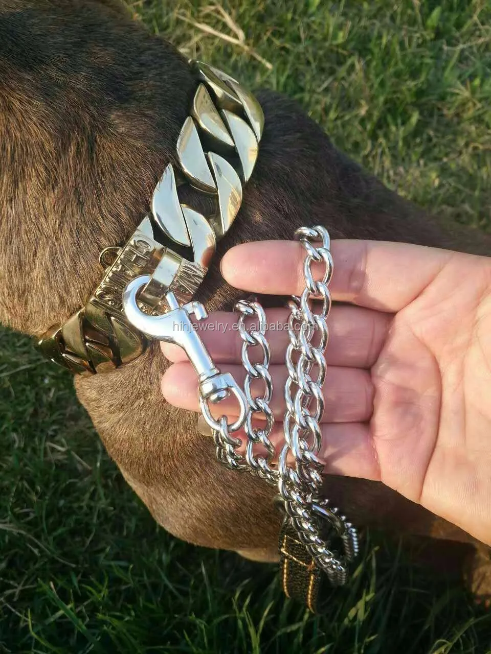 24+ Kalung anjing emas release