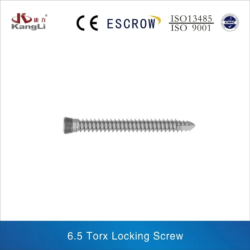 6.5 Torx Locking Screw.jpg