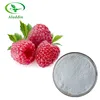 High Quality Organic Raspberry Fruit Extract Powder for Weight Loss with Free Sample