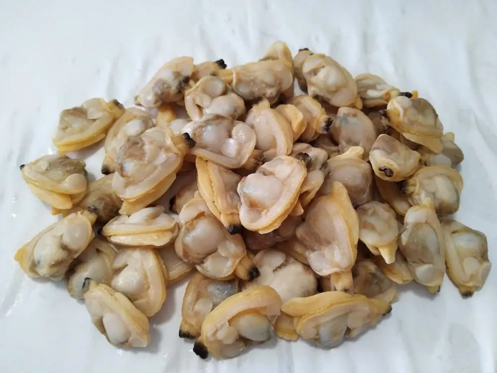 Frozen Clam Meat In Shellfish For Sale Buy Frozen Clam Meat For Sale,Short Neck Clam Meat For