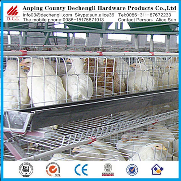 Hot Sale Automatic Chicken Layer Cage Price Chicken Layer Cage Automatic Chicken Layer Cage For Sale In Philippines Buy Design Layer Chicken