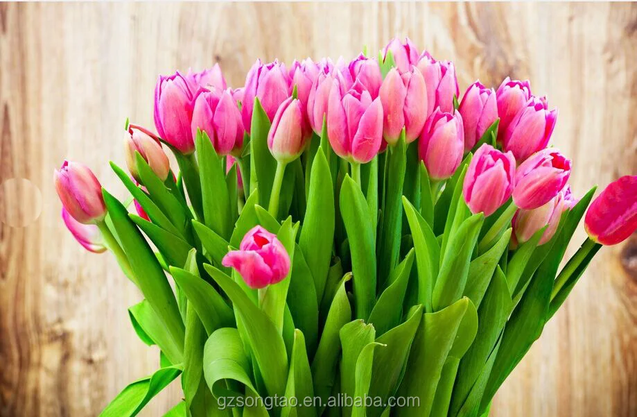 Vraie Touche 12 Têtes Romantique Dunité Centrale De Tulipes Rouges Bouquet De Fleursdécoration De Fleur De Tulipe Artificielle Buy Arrangements De