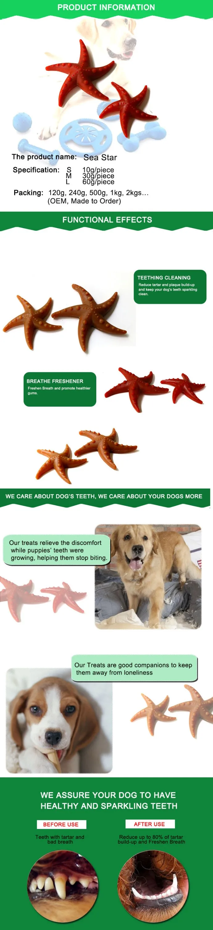 sea star-1.jpg