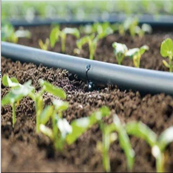 Crop Water - Saving Irrigation And Fertilizer Use Pe Drip Irrigation ...