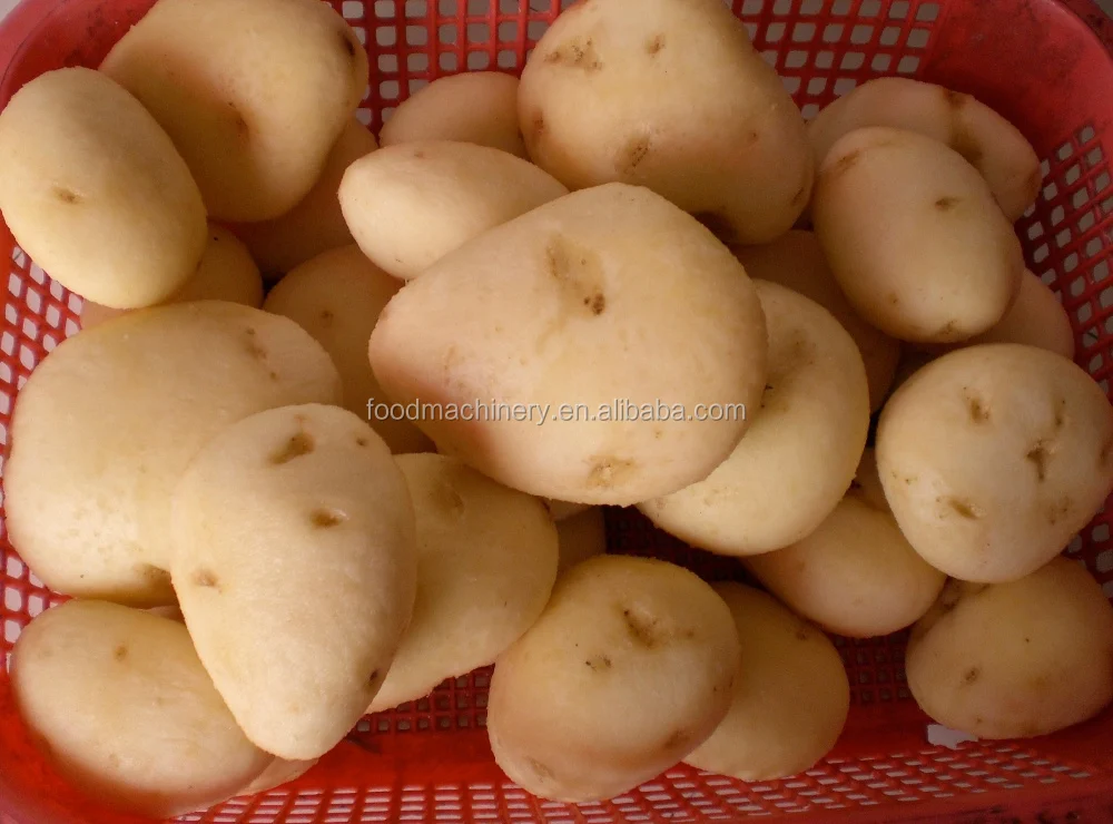 cocoyam peeling and washing machine