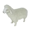 /product-detail/fiberglass-resin-sculpture-life-size-animal-sheep-statues-62209041657.html