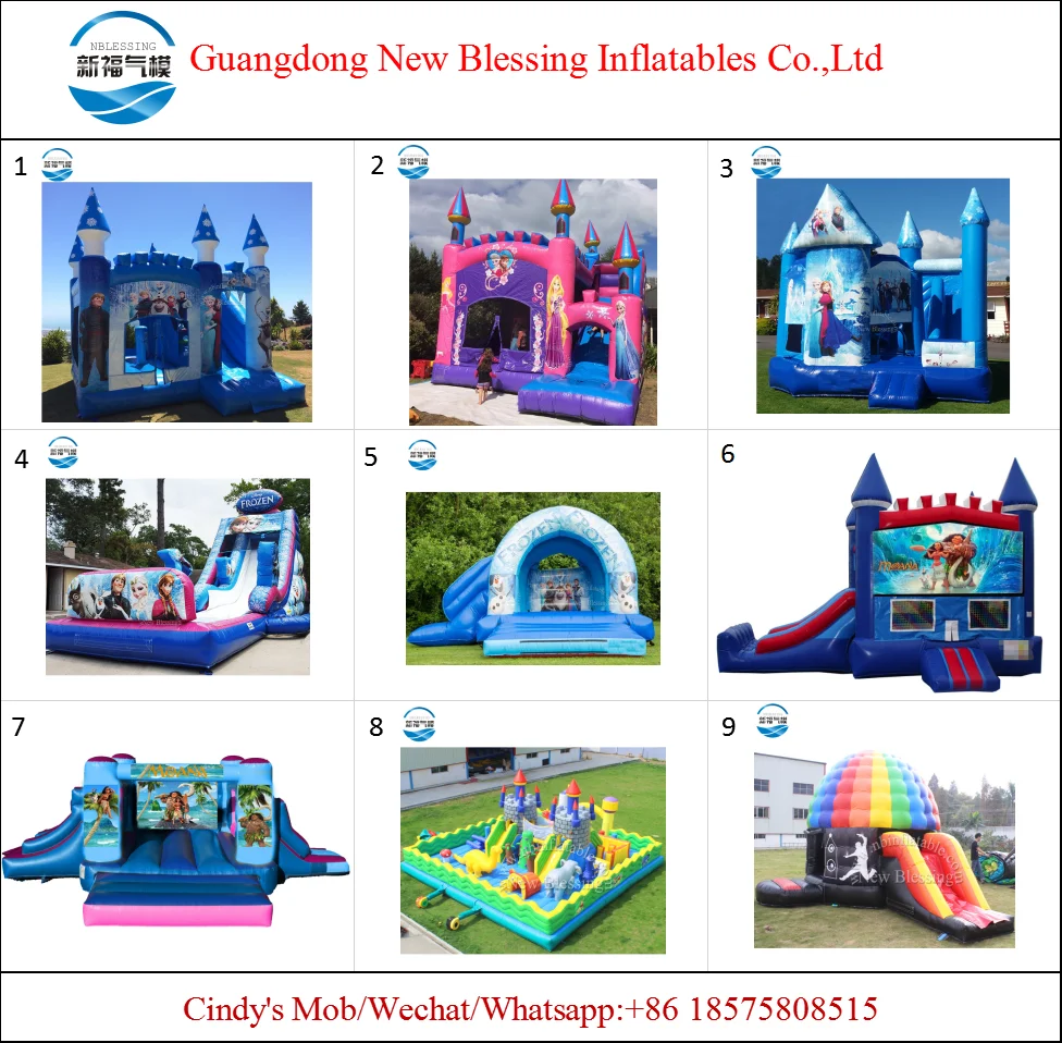 Cheap Inflatable Bouncer House For Sale,Used Frozen Inflatable Bouncer