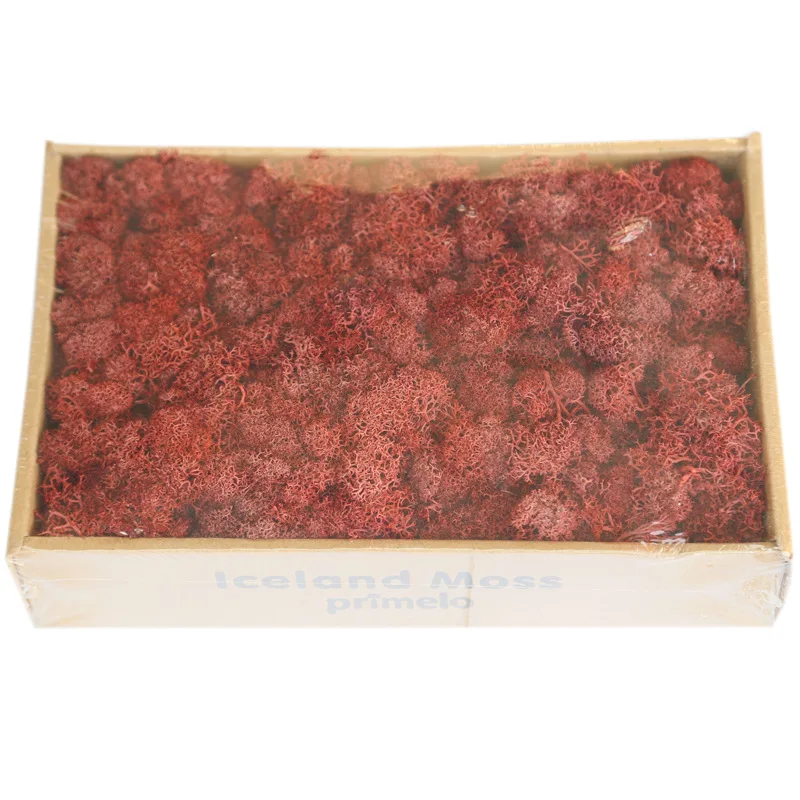 8954804526_1787692047