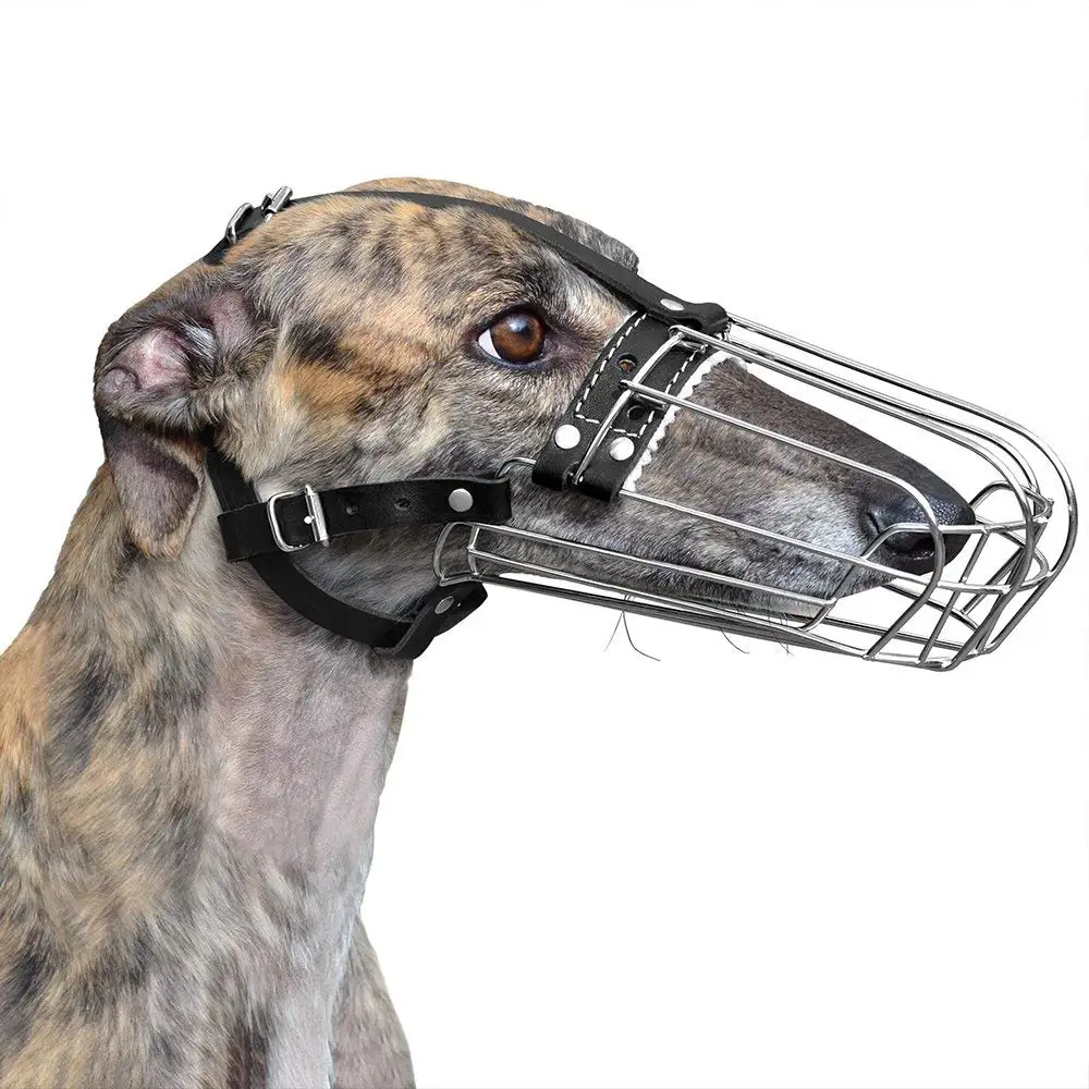 plastic basket muzzle