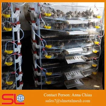 Wire Mesh Cage For Quail Price Quail Farm Cage Quail Cage For Sale Philippines Buy Quail Cage For Sale Philippinescage For Quail Pricequail