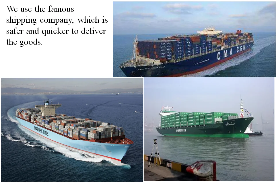 paste-pic-dp_uuid_352ic