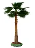dry palm tree keychain for decoration for landscape and garden