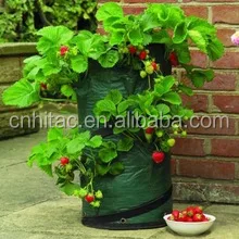 Free-Shipping-font-b-Grow-b-font-Pop-up-Strawberry-Herb-Planter-Specical-Planting-font-b.jpg_220x220.jpg