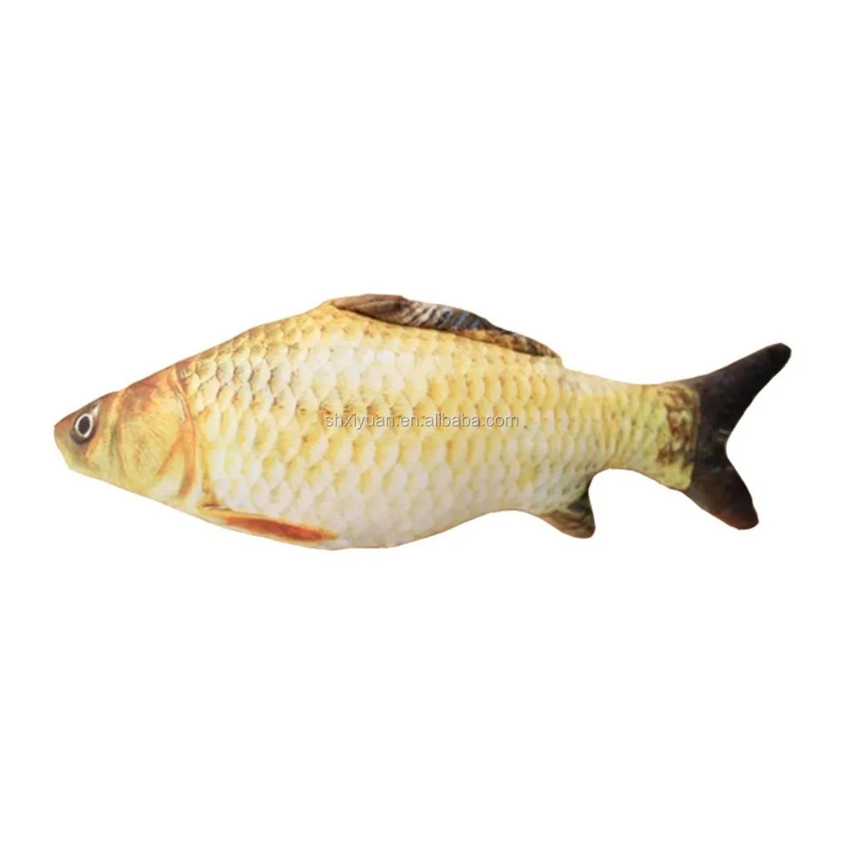 рыба на ш. рыба на ш. морские рыбы. рыба на букву щ. хищные рыбы россии речные.