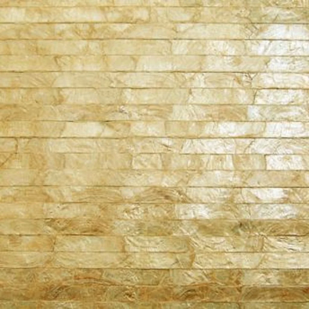 capiz shell mosaic-4.jpg