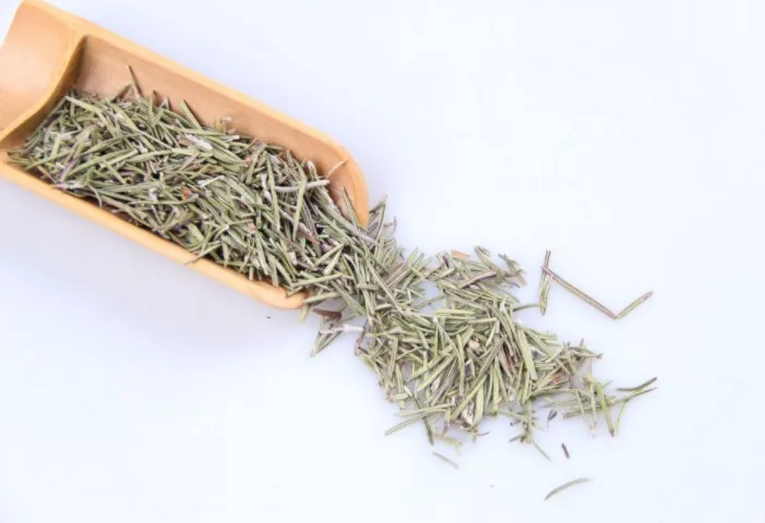 rosemary2.JPG