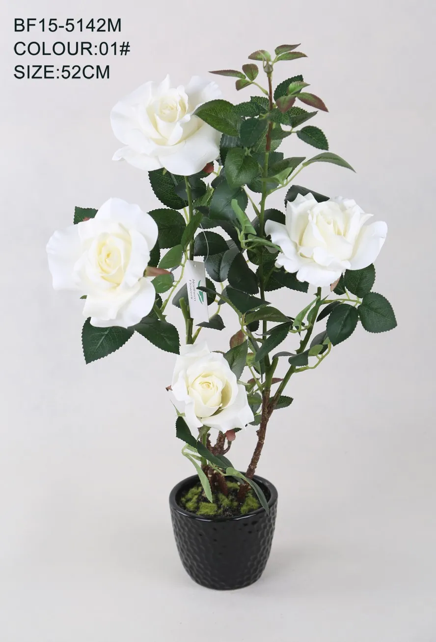 white silk roses