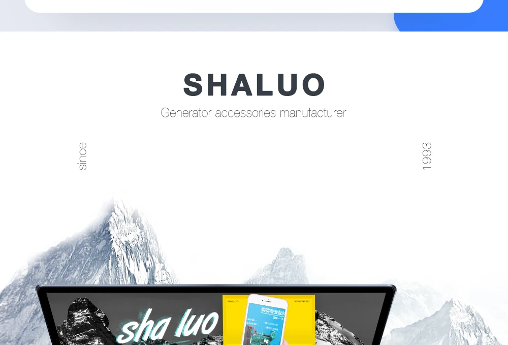 Generador di&eacute;sel avr regulador de voltaje autom&aacute;tico R448