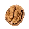 walnut kernel small/walnut kernel/Walnut Halves and Pieces