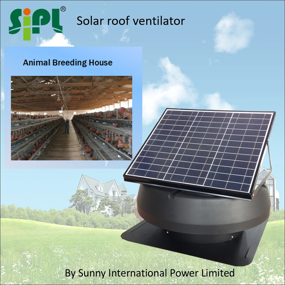 No Power Roof Ventilation Fan, No Power Roof Ventilation Fan ... for Industrial Roof Exhaust Fan
186ref No Power Roof Ventilation Fan, No Power Roof Ventilation Fan ... for Industrial Roof Exhaust Fan
186ref