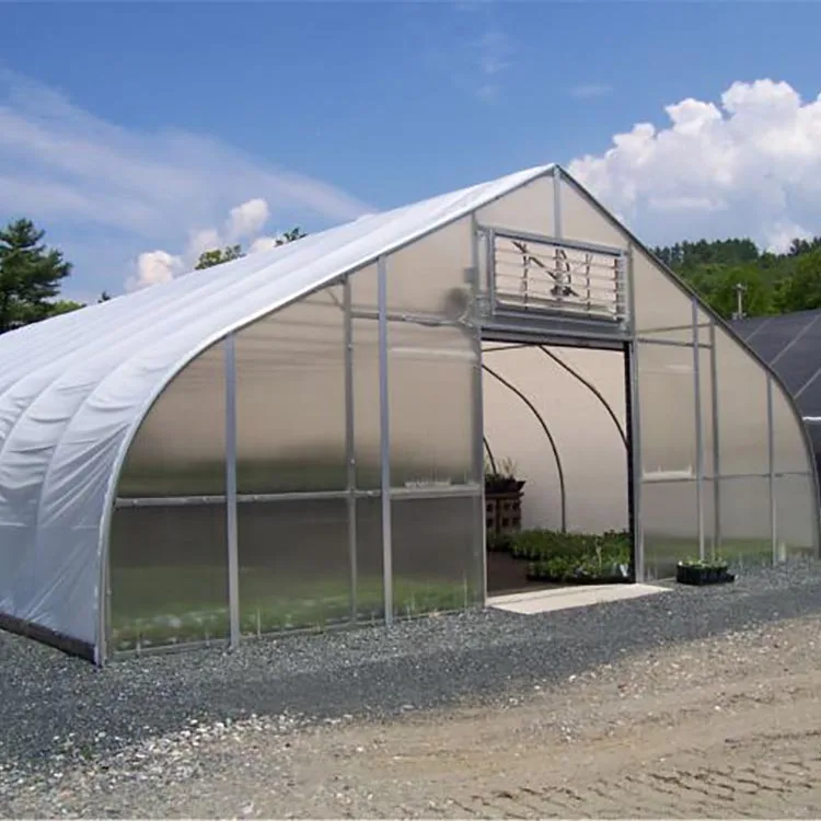 High Tunnel Plastic Greenhouse Low Cost Agricultural Greenhouses Buy