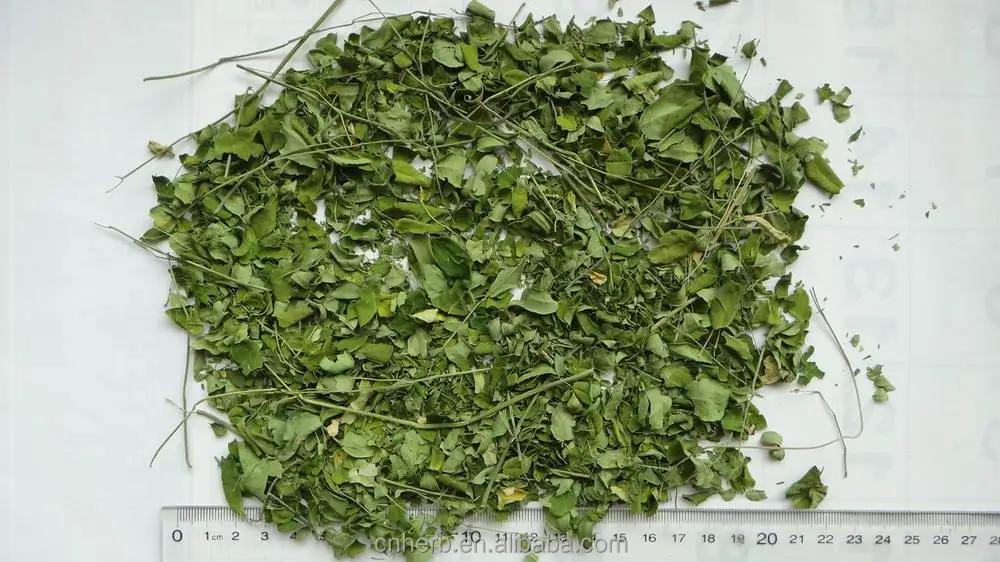 Hoja de moringa seca