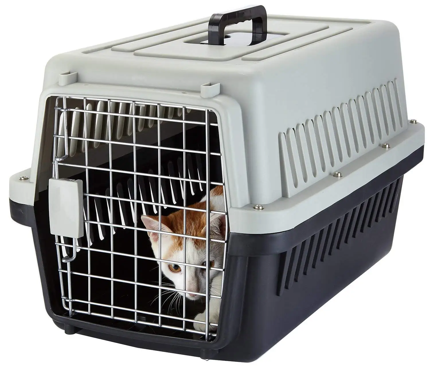 Plastic Acrylic Pet Cage,Dog Kennel Cat 