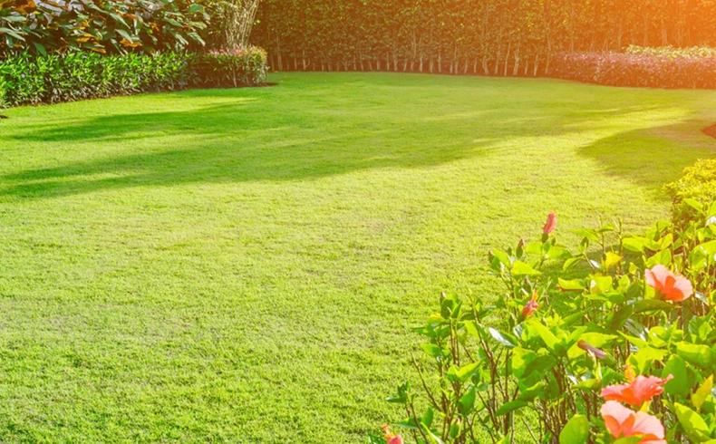 Factory price 40mm beautiful garden landscape artificial grass and carpet