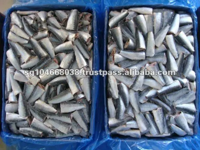 sardine hgt morocco yulyfish (3).jpg